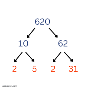 620 Prime Factorization