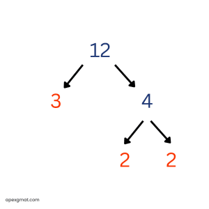 12 Prime Factorization